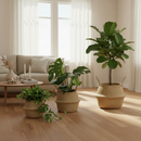 Cesta De Vime Seagrass Wickerwork Portátil Lavanderia Suja Armazenamento Jardim Decoração De Casa
